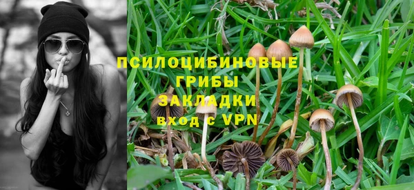 мдпв Зеленокумск