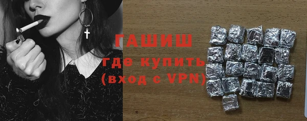 дживик Инта