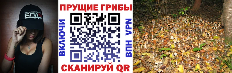 Галлюциногенные грибы ЛСД  Купить закладки  Верхний Уфалей 